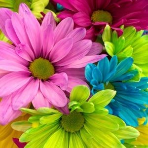 Meet your Posher, Lary